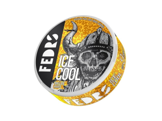 Nikotinové sáčky FEDRS ICE Cool Melon Hard - 65mg /g